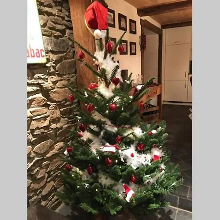 Vieux Logis Een Prachtige Ardeense Vakantiewoning Vresse-sur-Semois Extérieur photo